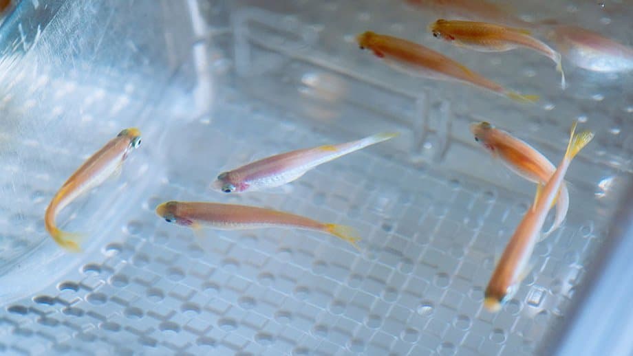 Basic research photo