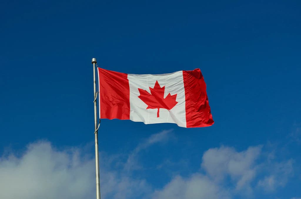 Canadian organisations sign agreement on open and proactive communication about animal-based science